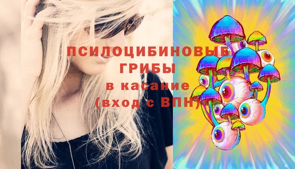 Альфа ПВП Вязьма